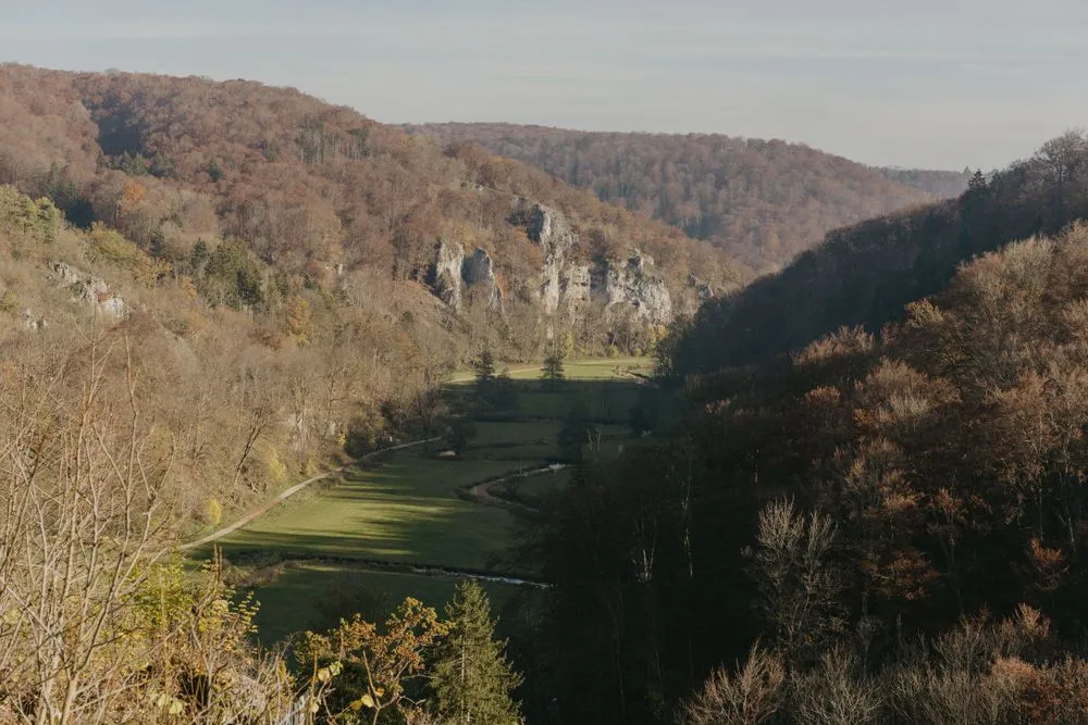 Lilly & Arian Hochzeit - Bild 28