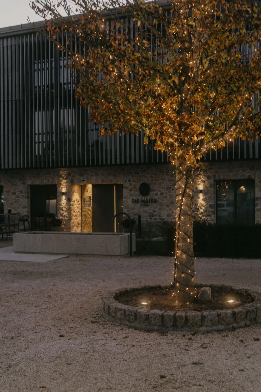 Lilly & Arian Hochzeit - Bild 61